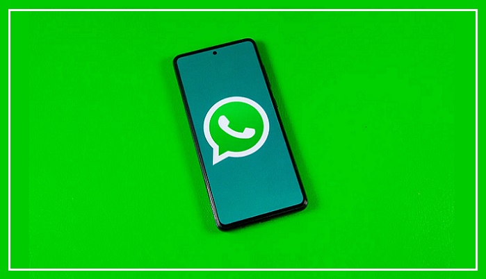 whatsapp-api-guide-botscrew